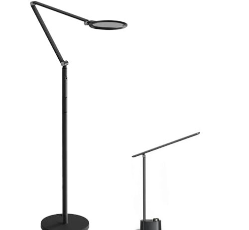 The F01WT's twin in black