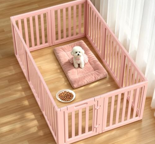 Small-dog starter pen