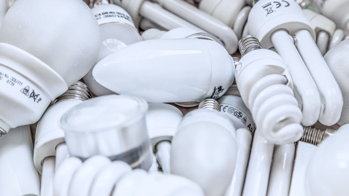 CRI≥91 Lamps Trade Efficiency for Color Accuracy