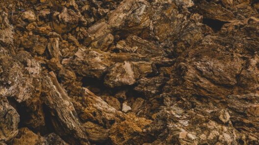 Sediment Filters Clog Faster When Mineral Hardness Is Low
