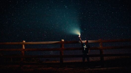 Lumens Sell Flashlights. Candela Is What Reaches the Fence.